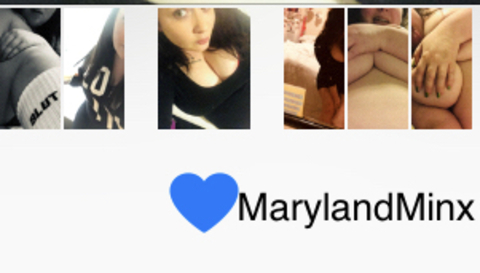 Header of marylandminx