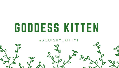 Header of squishy_kitty1